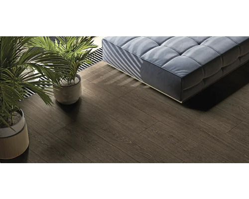 Vue d''une pièce avec parquet, canapé et plantes d''intérieur.