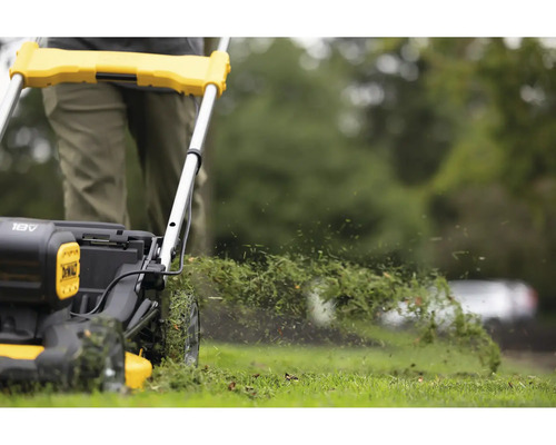 Tondeuse à gazon en cours d''utilisation pour la tonte de la pelouse