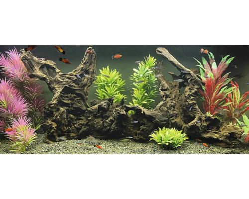 Aquarium mit Dekorationselementen, Pflanzen und Fischen