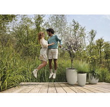 Szene mit einem Paar, das auf einer Holzterrasse vor drei Pflanzgefäßen springt. Die Pflanzgefäße enthalten Pflanzen.