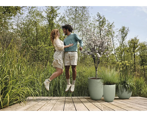 Ein Paar springt auf einer Holzterrasse neben drei Pflanzgefäßen.