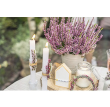 Arrangement décoratif avec de la bruyère, des bougies et une décoration en bois sur une table