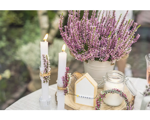 Arrangement décoratif avec de la bruyère, des bougies et une décoration en bois sur une table