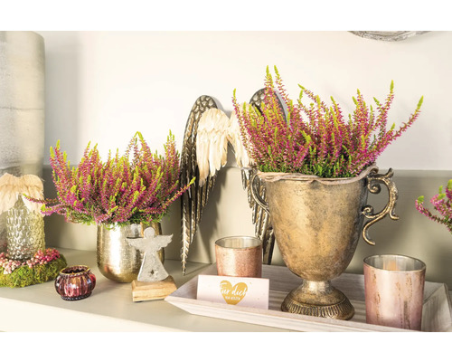 Arrangements décoratifs de bruyère dans des pots dorés, complétés par des ailes d''ange et des bougies