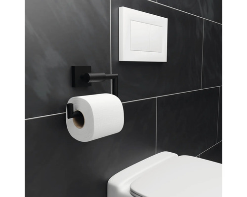 Toilettenpapierspender aus Metall, Toilettenspülung und Toilette im Badezimmer