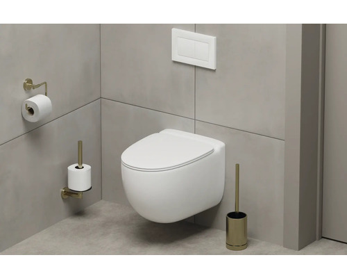 Salle de bains moderne avec WC suspendu, plaque de commande, porte-papier toilette et brosse de toilette.