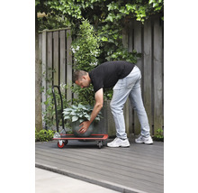 Un homme transporte une plante en pot avec une planche à roulettes dans le jardin.