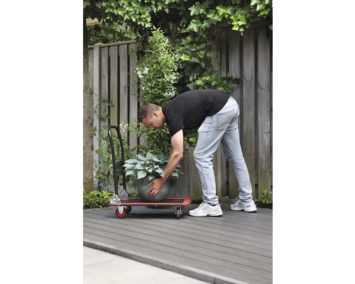 Un homme transporte une plante en pot avec une planche à roulettes dans le jardin.