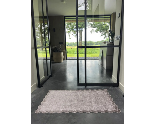 Couloir avec tapis, porte vitrée et vue sur l''extérieur.