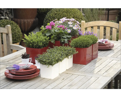 Dekorativer Gartentisch mit roten und weißen Pflanzgefäßen sowie Geschirr.