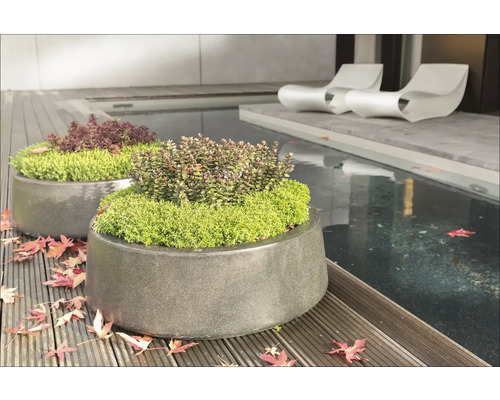 Zwei bepflanzte Pflanzkübel aus Stein auf einer Holzterrasse neben einem Teich