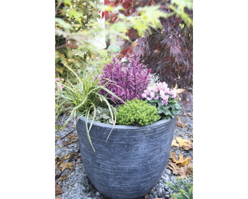 Blumenarrangement in Pflanzgefäß im Garten