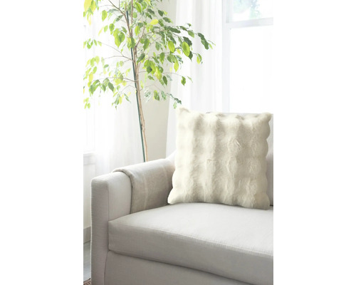 Coussin décoratif sur un canapé à côté d''une plante d''intérieur.