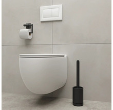 WC suspendu avec porte-papier toilette et brosse de toilette dans une salle de bain.