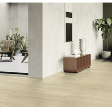 Pièce lumineuse avec parquet, décoration et mobilier