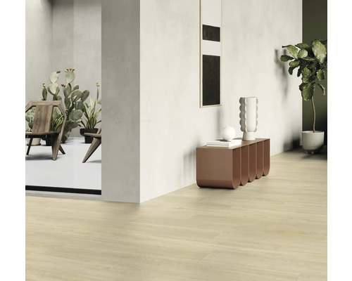 Pièce lumineuse avec parquet, décoration et mobilier