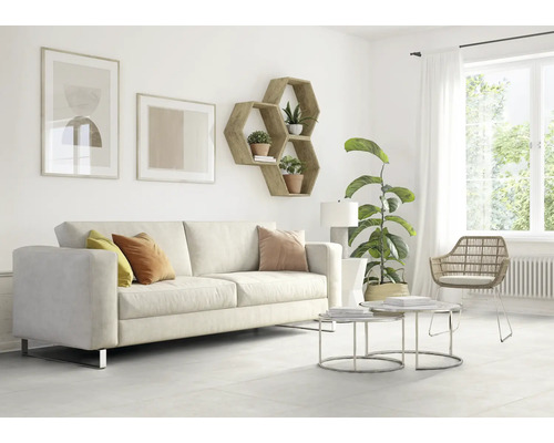 Salon avec canapé, table basse et étagère murale hexagonale.