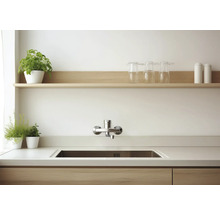 Küchenspüle mit Armatur, Arbeitsplatte, Regal, Gläsern und Pflanzen