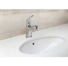 Un robinet est visible sur un lavabo.