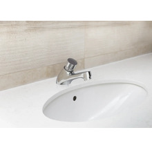 Lavabo avec robinet en métal