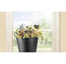 Oseille dans un pot noir avec décoration de vélo à la fenêtre