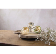 Drei dekorative Kugeln mit Pflanzenmotiven auf einem Holztablett