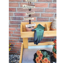 Scène de jardin avec panneau de jardin d''herbes aromatiques, gants et fleurs sur une table de jardin