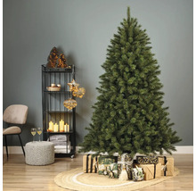 Sapin de Noël décoré avec des cadeaux sur un tapis tressé dans un salon.
