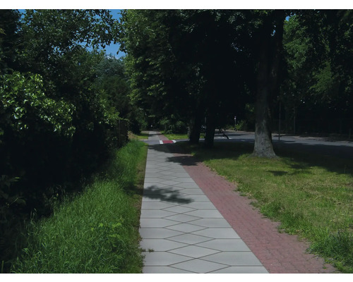 Szene einer Pflasterstrasse mit Bäumen und Grünflächen