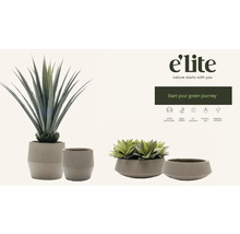 Plantes artificielles décoratives en pots de différentes tailles