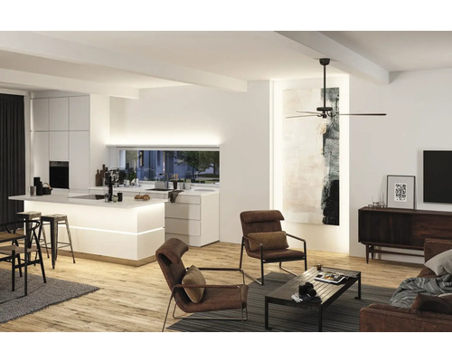 Salon lumineux avec ventilateur de plafond, cuisine, fauteuils et plancher en bois