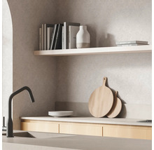 Scène de cuisine avec évier, robinet, vaisselle, planches à découper et étagères avec livres et décorations.