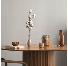 Table décorative avec branche de coton, verre et bol pour l''aménagement intérieur