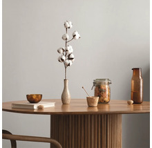 Arrangement décoratif avec table, branche de coton, bol et bocal