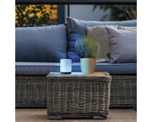 Dekorative Tischlampe und Topfpflanze auf einem Rattantisch mit Sofasitzgruppe im Hintergrund