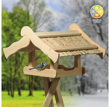 Vogelhaus aus Holz mit ganzjährig füttern Symbol und einer Blaumeise