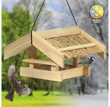 Vogelhaus mit Futter und Vögeln