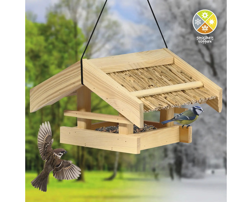 Vogelhaus mit Futter und Vögeln