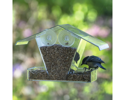 Mangeoire transparente avec ventouses pour fixation à la fenêtre et un petit oiseau en train de manger.
