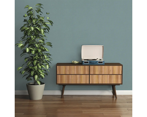 Wohnszene mit Kommode, Zimmerpflanze und Schallplattenspieler.