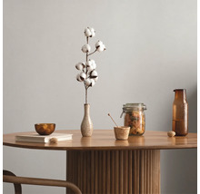 Dekoratives Stillleben mit Baumwollzweig in Vase, Vorratsglas und Schale auf einem Holztisch.