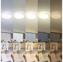 Plafonnier présenté dans différentes températures de couleur dans un espace de vie.