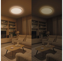Salon avec plafonnier avec couleur de lumière réglable