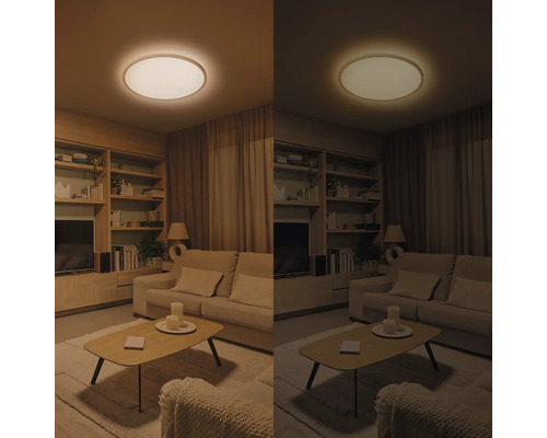 Salon avec plafonnier avec couleur de lumière réglable