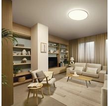 Salon avec étagères, canapé, fauteuil, tapis et plafonnier.