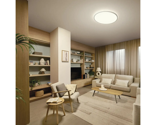 Salon avec étagères, canapé, fauteuil, tapis et plafonnier.