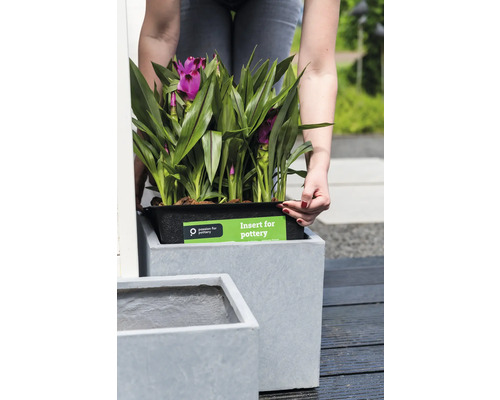 Frau setzt einen Einsatz mit einer Pflanze in einen Pflanzkasten