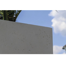 Pot de fleurs en béton avec plante sur fond de ciel bleu