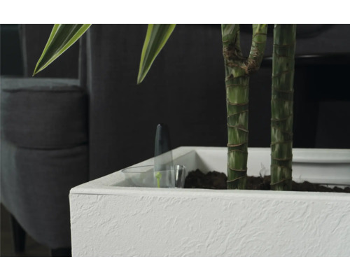 Gros plan d''une plante d''intérieur dans un pot blanc avec système d''irrigation