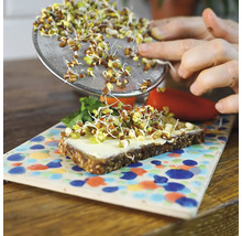 Une personne répartit des germes à l'aide d'un tamis sur une tartine.